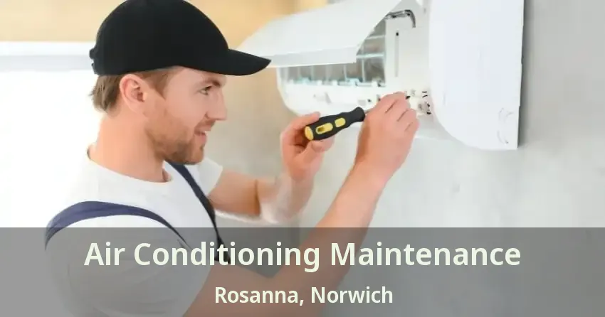 Air Conditioning Maintenance Rosanna, Norwich - ON