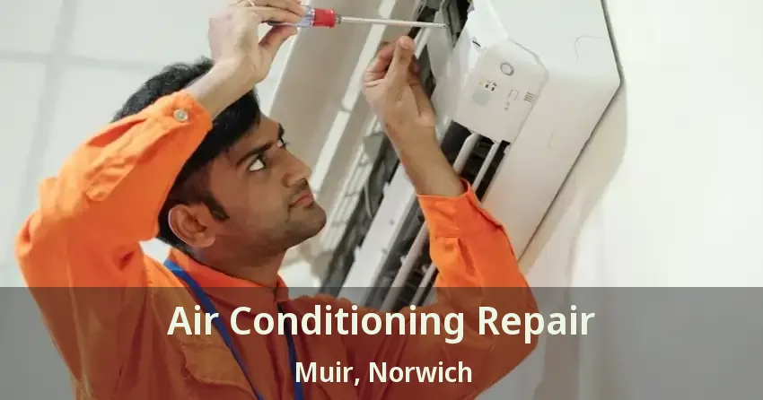 Air Conditioning Repair Muir, Norwich - ON