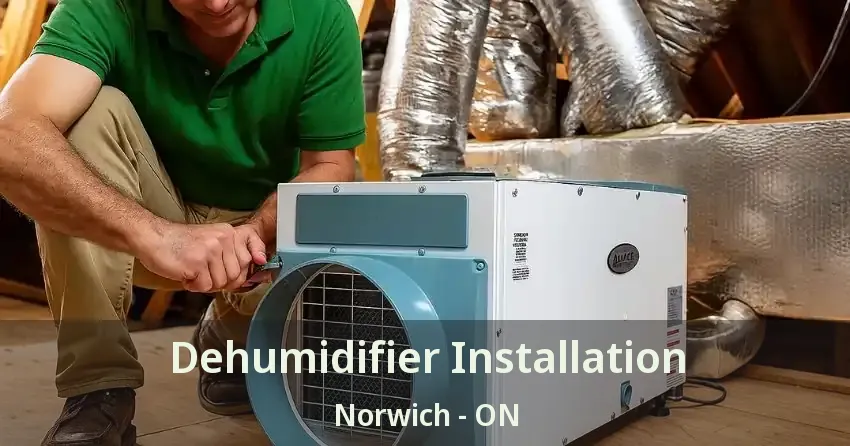 Dehumidifier Installation Norwich - ON