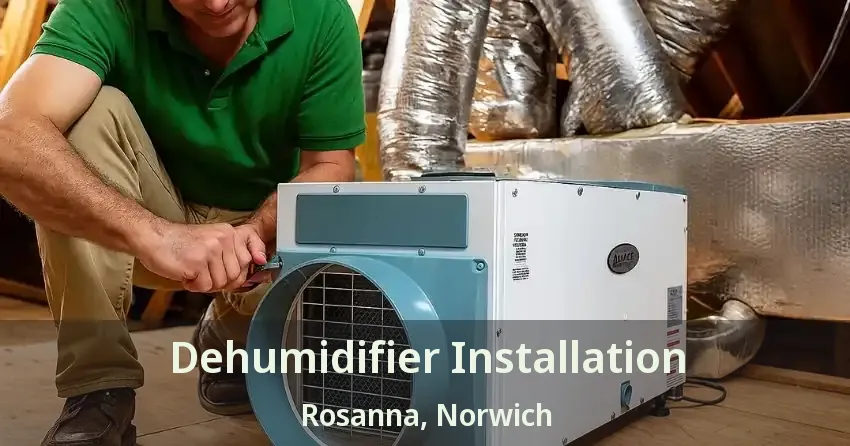 Dehumidifier Installation Rosanna, Norwich - ON