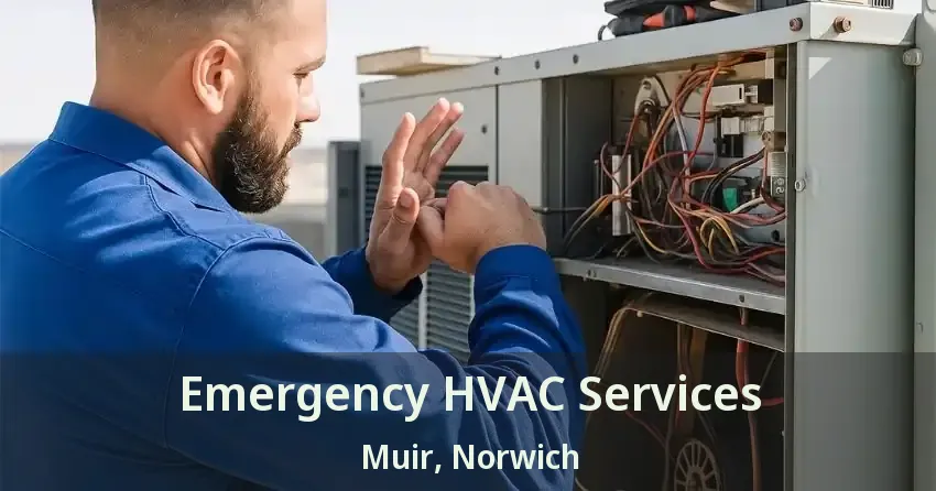 Emergency HVAC Services Muir, Norwich - ON