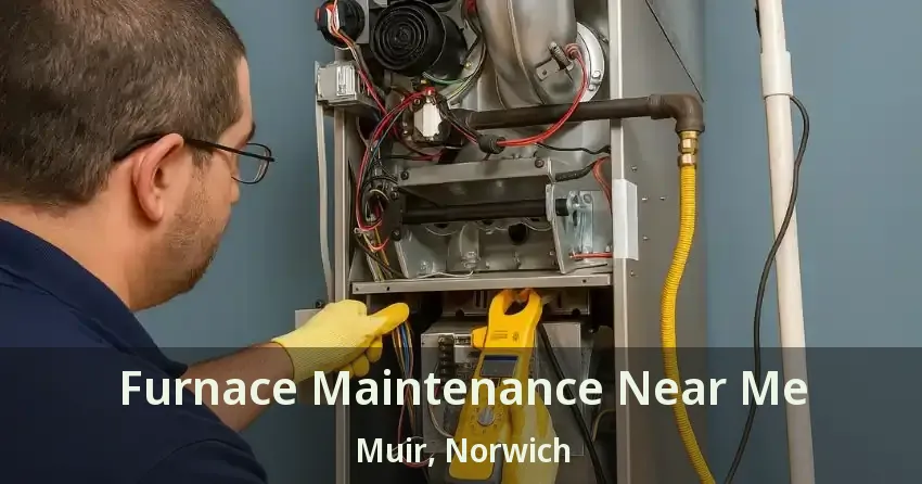 Furnace Maintenance Near Me Muir, Norwich - ON