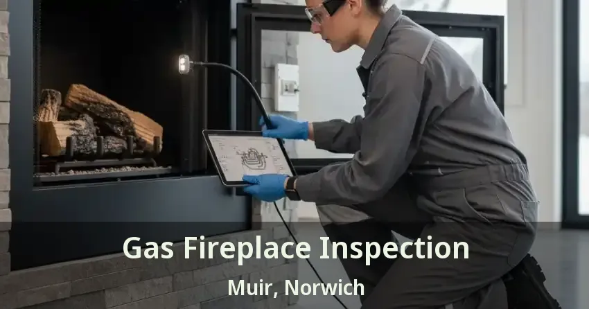 Gas Fireplace Inspection Muir, Norwich - ON