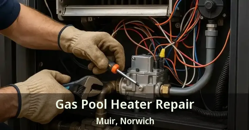 Gas Pool Heater Repair Muir, Norwich - ON