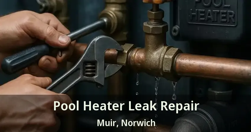 Pool Heater Leak Repair Muir, Norwich - ON