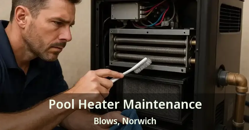 Pool Heater Maintenance Blows, Norwich - ON