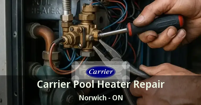 Carrier Pool Heater Repair Norwich - ON